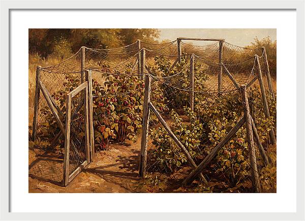 Productive Fruit Cage