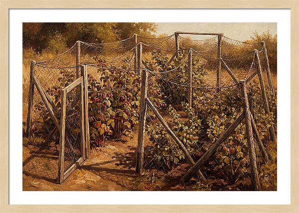 Productive Fruit Cage