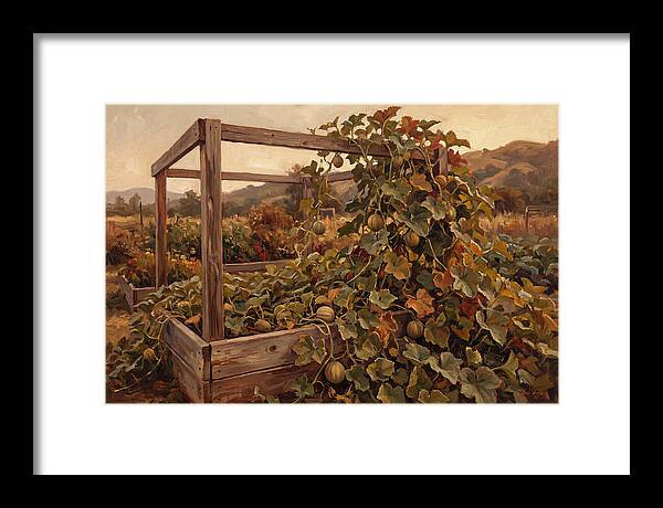 Productive Garden Frame With Melon Plant