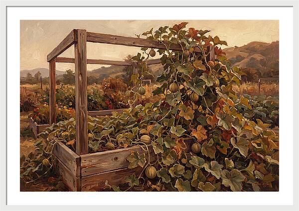 Productive Garden Frame With Melon Plant