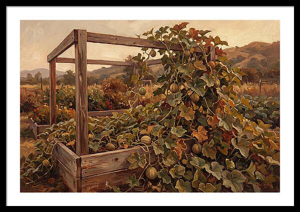 Productive Garden Frame With Melon Plant