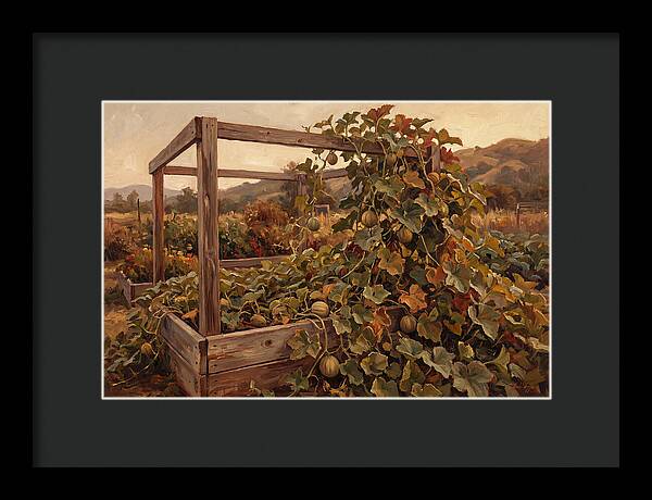 Productive Garden Frame With Melon Plant