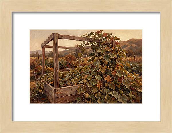 Productive Garden Frame With Melon Plant