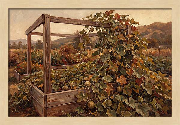 Productive Garden Frame With Melon Plant