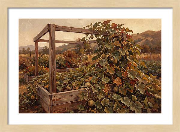 Productive Garden Frame With Melon Plant