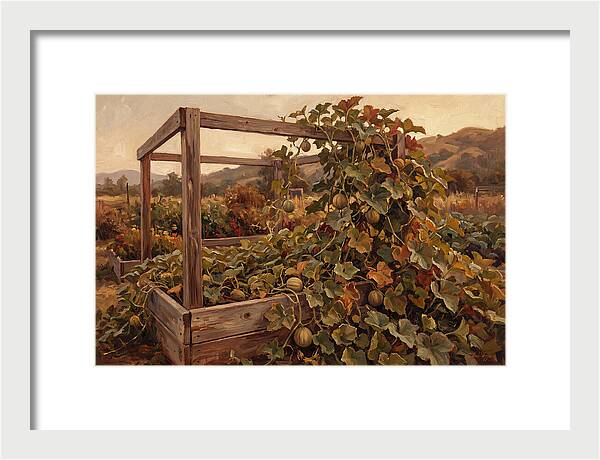 Productive Garden Frame With Melon Plant