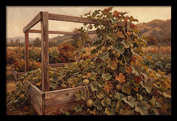Productive Garden Frame With Melon Plant