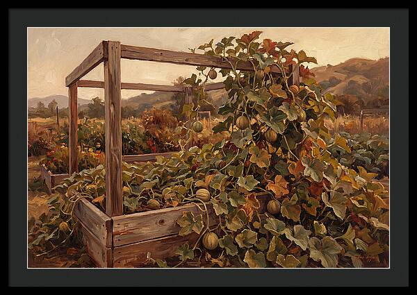 Productive Garden Frame With Melon Plant