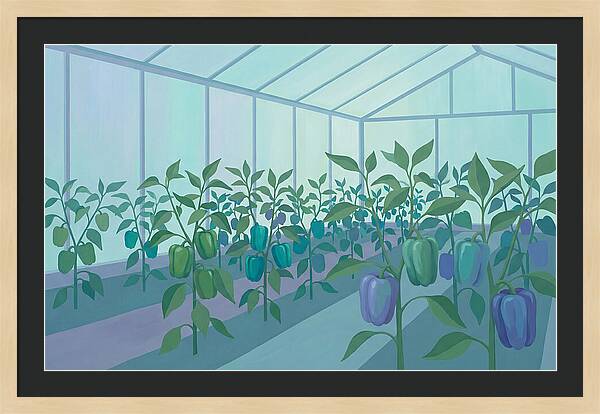 Productive Garden Greenhouse