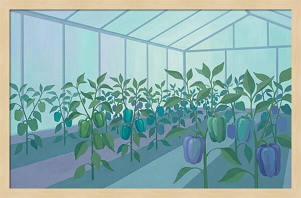 Productive Garden Greenhouse