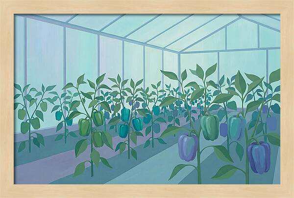Productive Garden Greenhouse