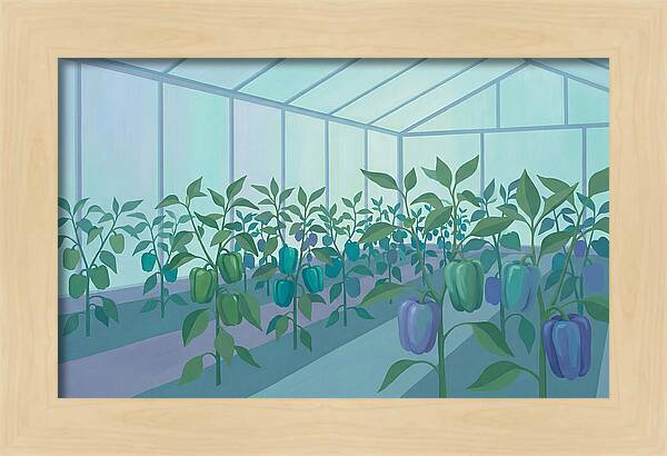 Productive Garden Greenhouse