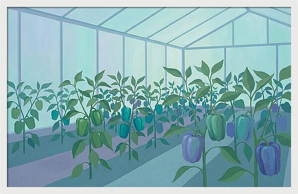 Productive Garden Greenhouse