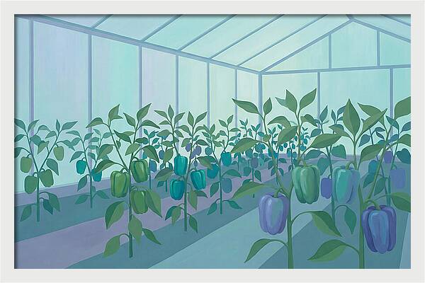Productive Garden Greenhouse