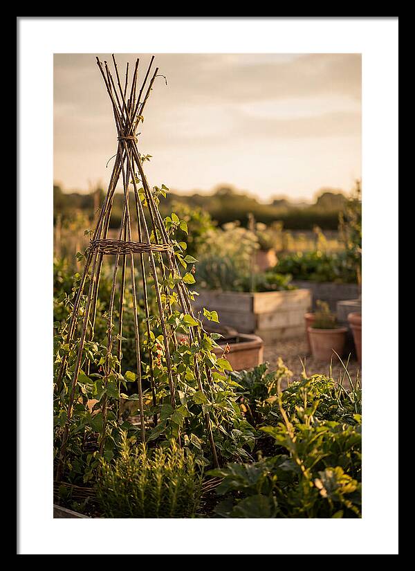 Productive Garden Serenity