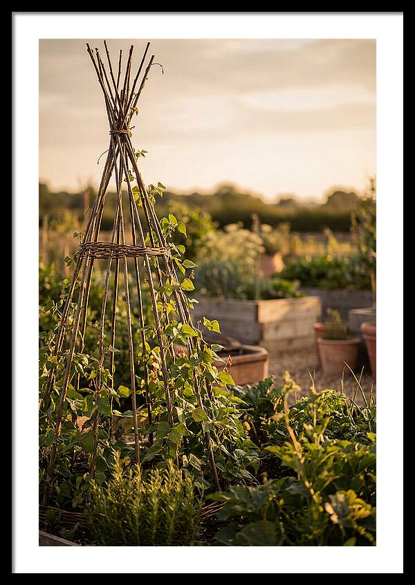 Productive Garden Serenity