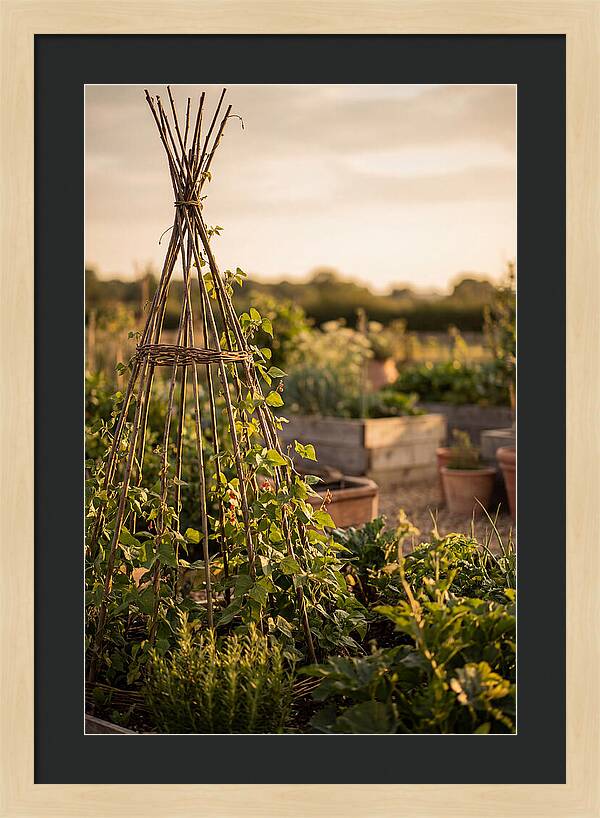 Productive Garden Serenity