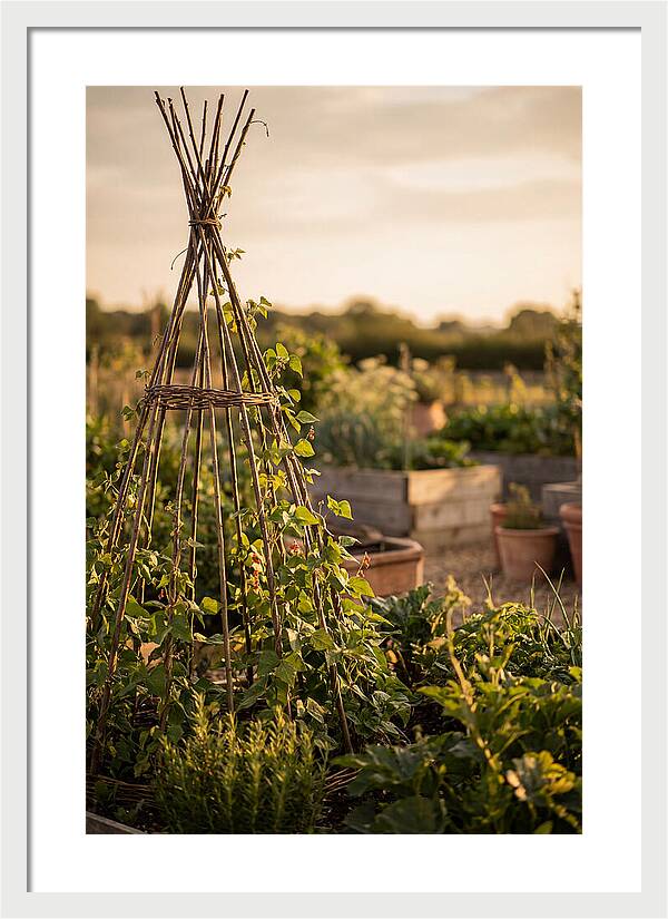 Productive Garden Serenity