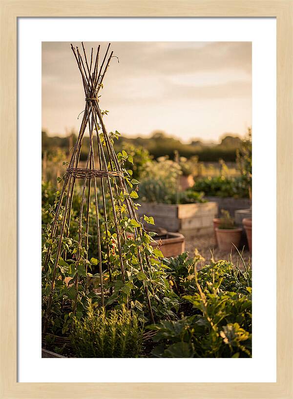Productive Garden Serenity