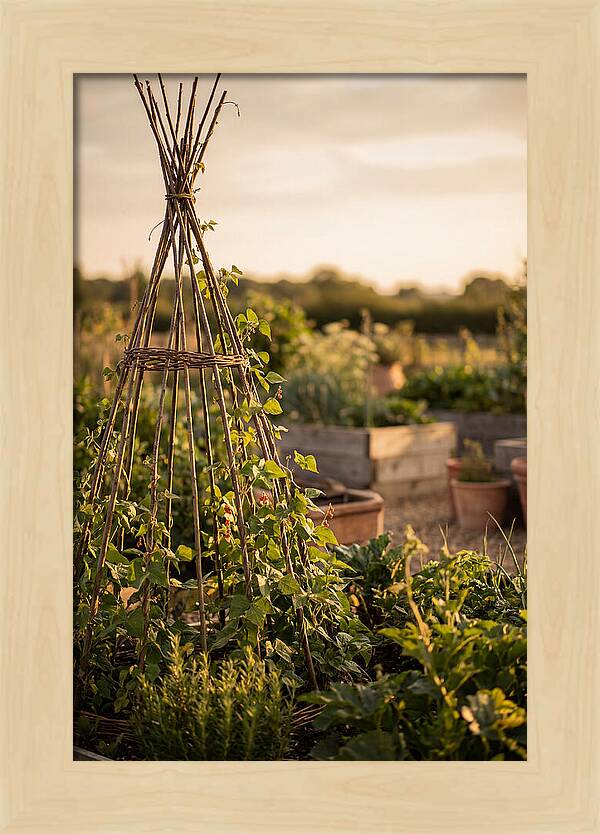 Productive Garden Serenity