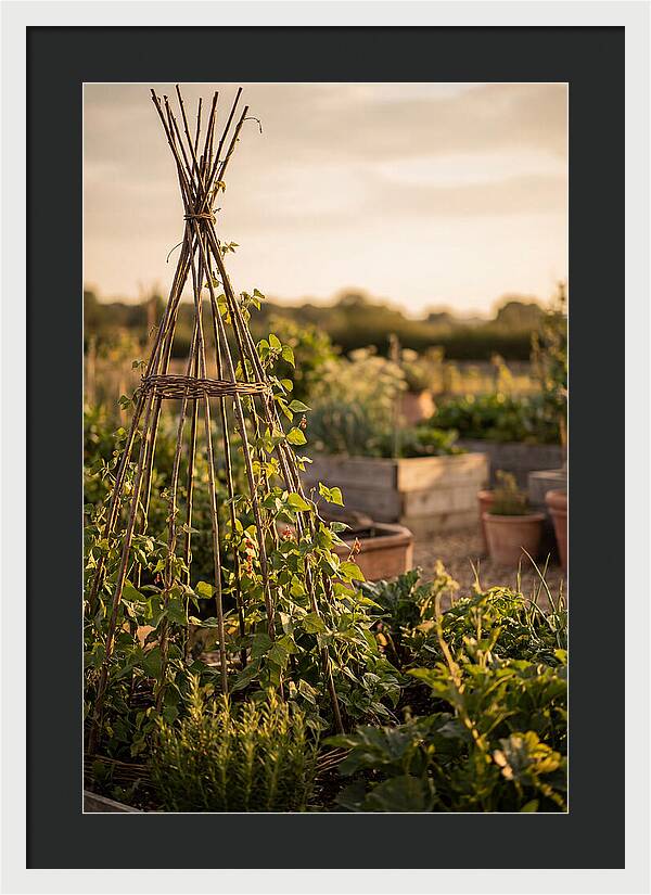 Productive Garden Serenity