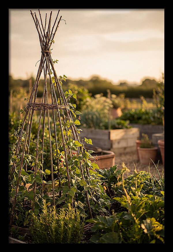 Productive Garden Serenity