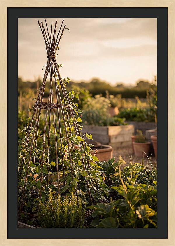 Productive Garden Serenity