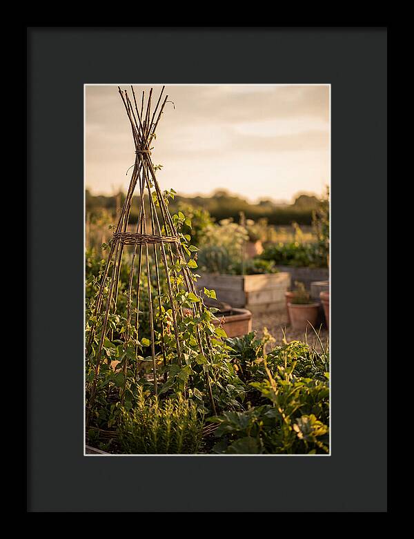 Productive Garden Serenity
