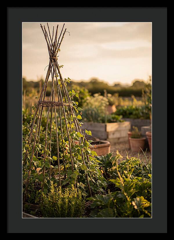 Productive Garden Serenity