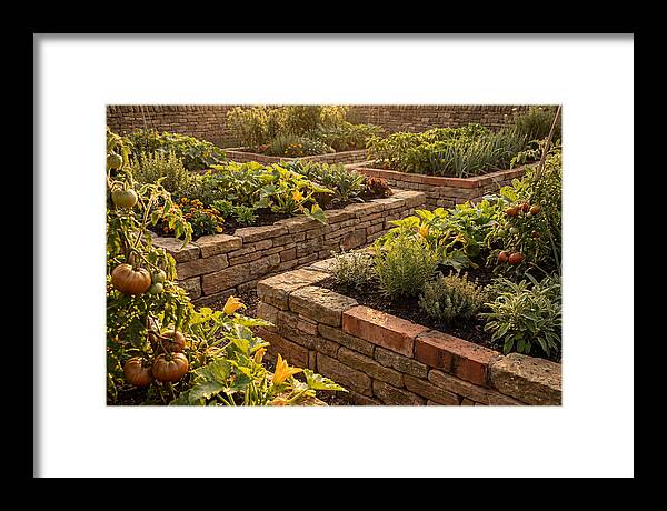 Productive Kitchen Garden Serenity