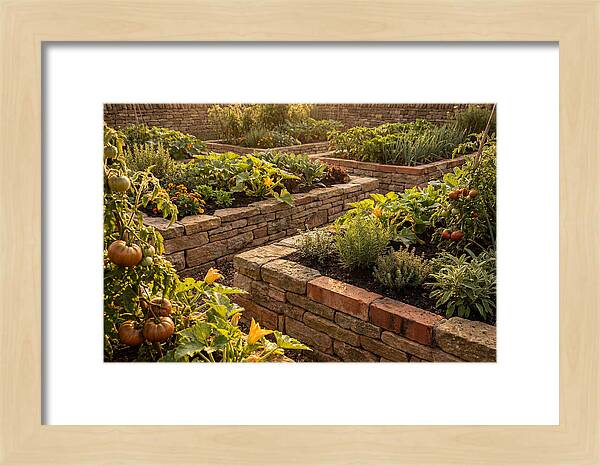 Productive Kitchen Garden Serenity