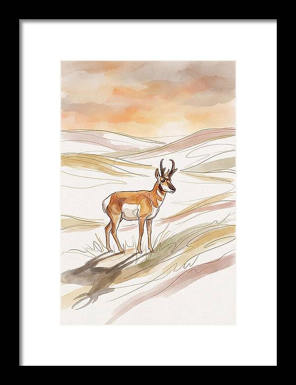 Pronghorn Antelope On Open Prairie