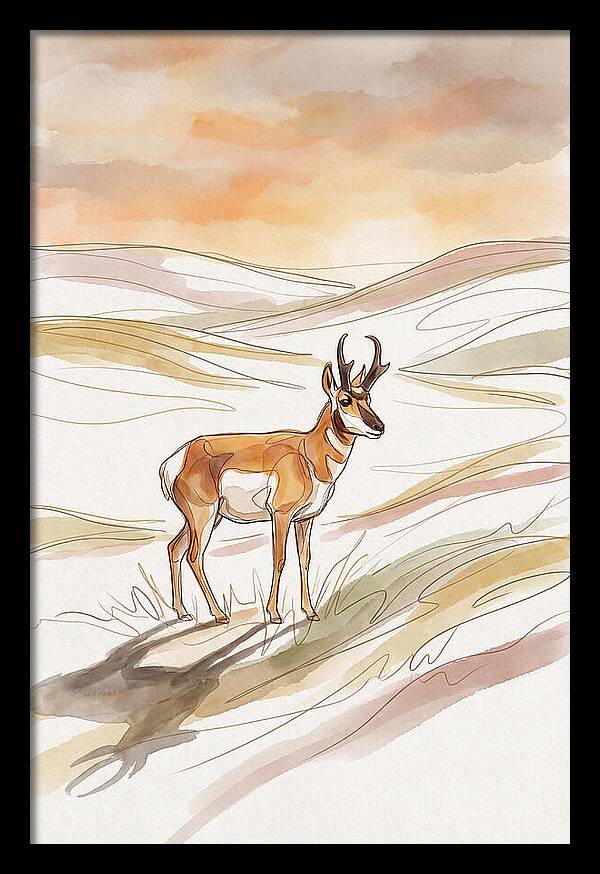 Pronghorn Antelope On Open Prairie