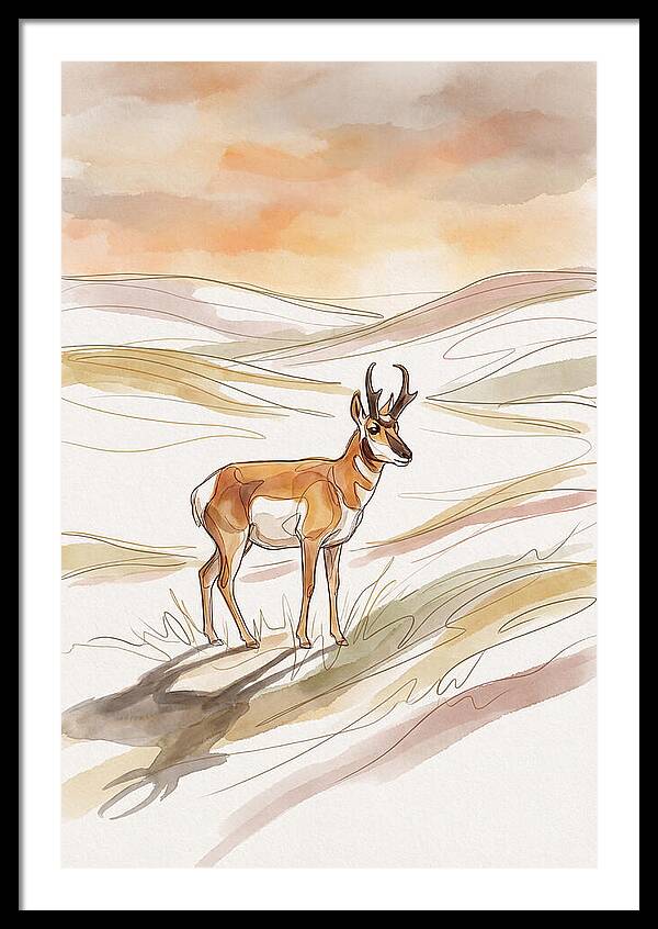 Pronghorn Antelope On Open Prairie