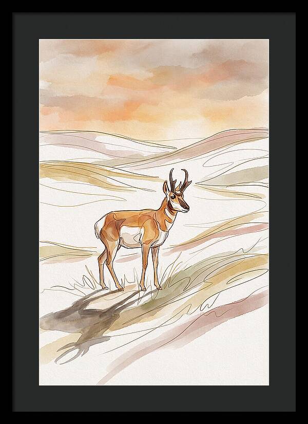 Pronghorn Antelope On Open Prairie