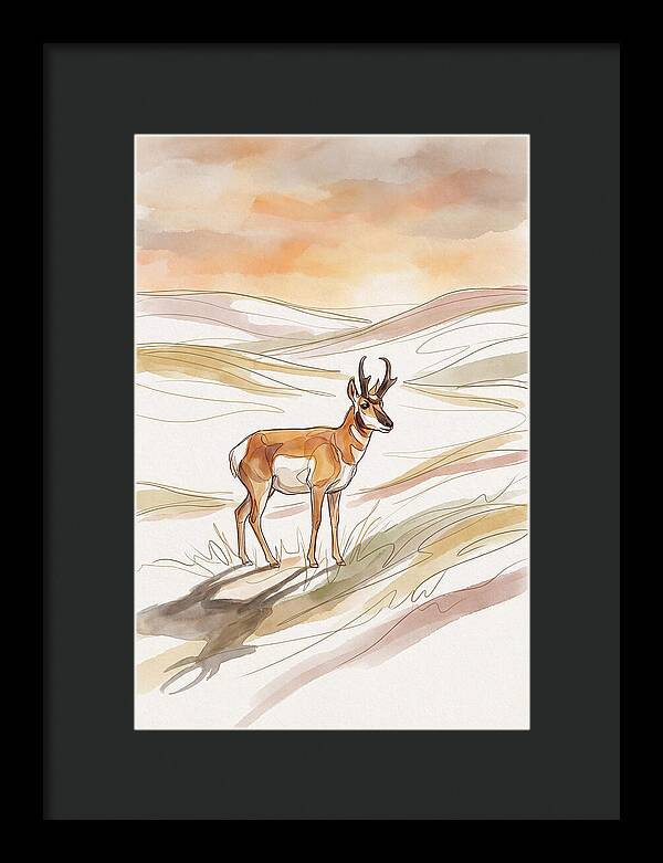 Pronghorn Antelope On Open Prairie