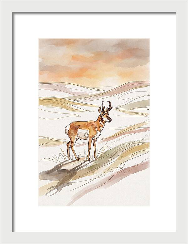 Pronghorn Antelope On Open Prairie