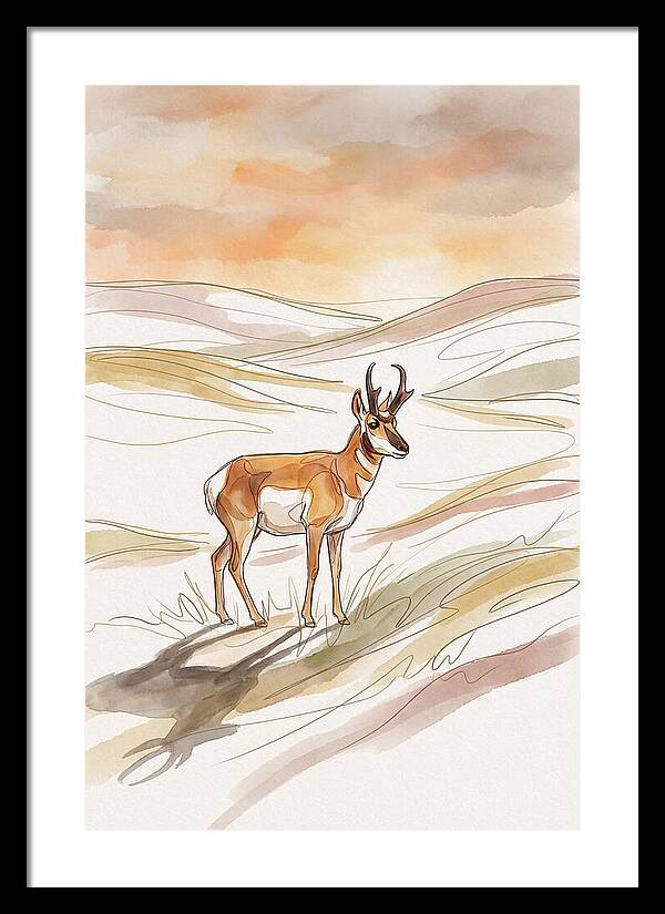 Pronghorn Antelope On Open Prairie