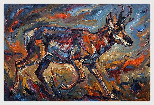 Pronghorn In Motion