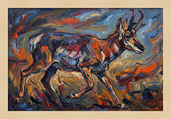 Pronghorn In Motion