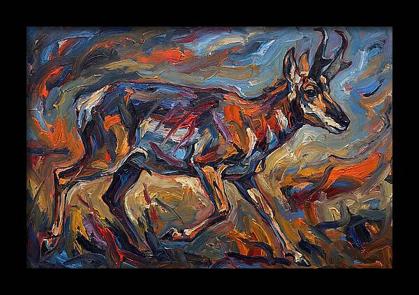 Pronghorn In Motion