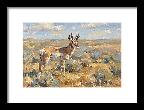 Pronghorn In The Wild