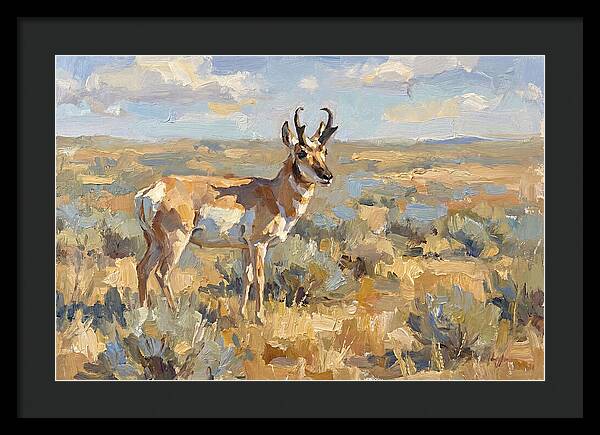 Pronghorn In The Wild