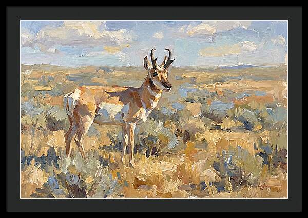 Pronghorn In The Wild