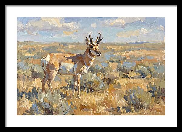 Pronghorn In The Wild