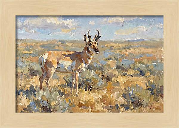 Pronghorn In The Wild