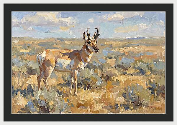 Pronghorn In The Wild