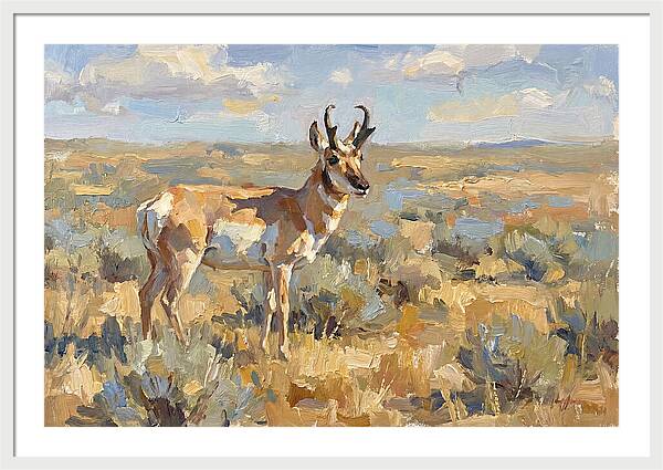 Pronghorn In The Wild