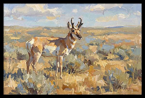 Pronghorn In The Wild