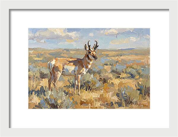 Pronghorn In The Wild